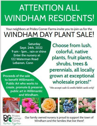 windham plants 