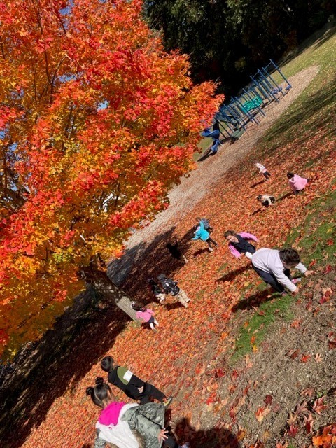 Kids playing in leaves 